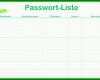 Bemerkenswert Excel Passwortliste Vorlage 712x432