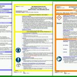 Modisch Betriebsanweisungen Vorlagen 1024x576