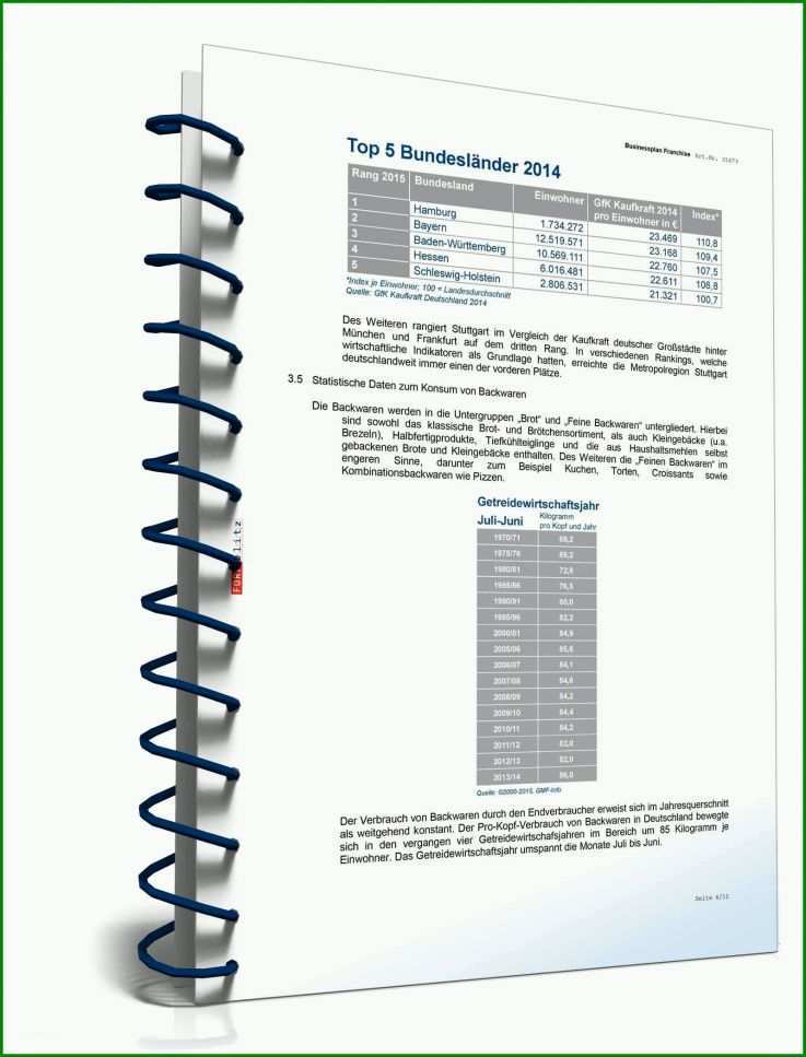 Phänomenal Businessplan Franchise Vorlage 1600x2100