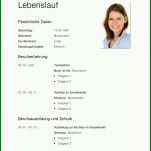 Empfohlen Kostenlose Lebenslauf Vorlage Download 800x1132