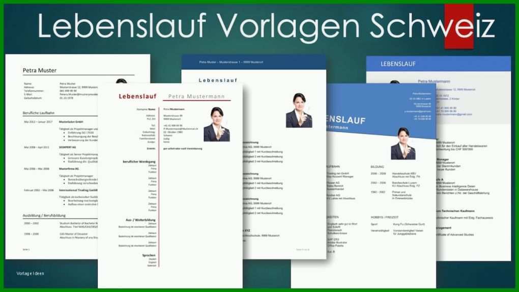 Singular Lebenslauf Modern Vorlage 1280x720