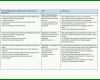 Unglaublich Pflegeplanung Vorlage 1000x709