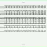 Einzigartig Elektro Prüfprotokoll Vorlage Excel 1754x1240