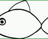 Faszinierend Fisch Vorlage 1583x897