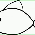 Faszinierend Fisch Vorlage 1583x897