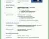 Sensationell Lebenslauf Vorlage Word Kostenlos 800x1132