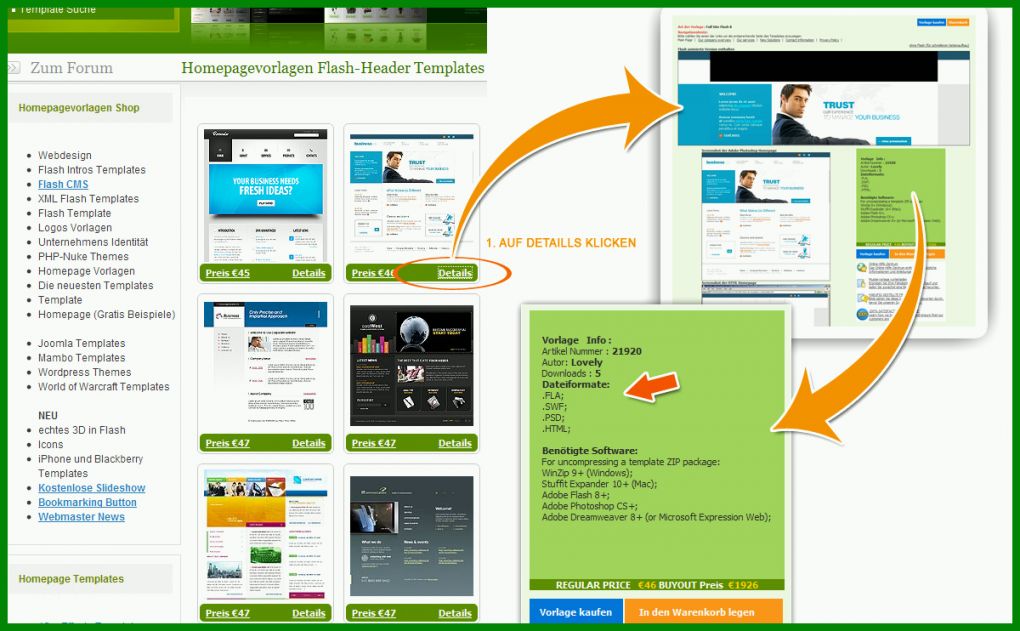 Singular Homepage Vorlagen 1200x742