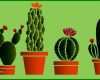Faszinierend Kaktus Basteln Vorlagen 741x450