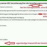 Fabelhaft Kfz Versicherung Kündigen Vorlage 822x450