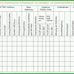 Faszinieren Auditplan Vorlage Excel 1343x724