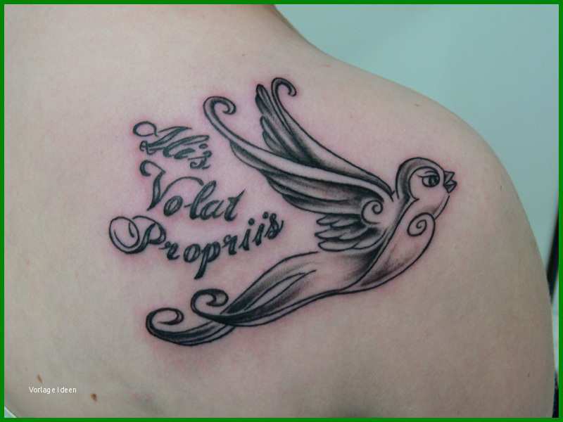 Limitierte Auflage Schwalben Tattoo Vorlage Schwalben Tattoo Vorlage