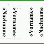 Exklusiv Namensschild Vorlage Word 920x650