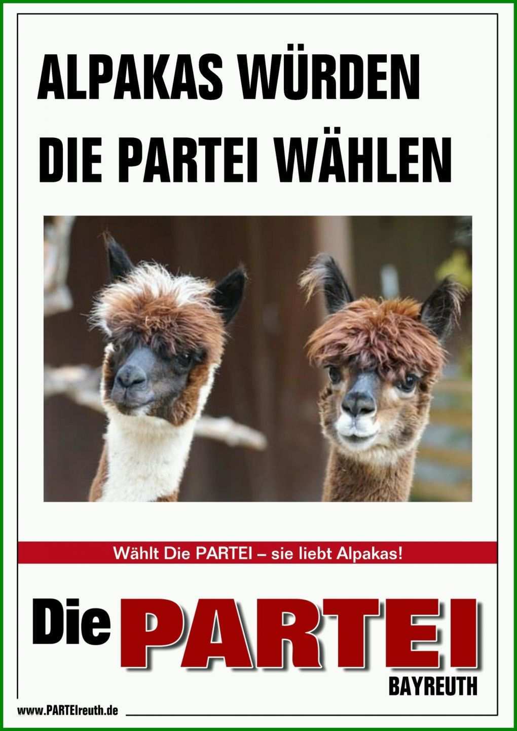 Schockieren Die Partei Plakat Vorlage 1448x2048