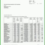 Schockierend Nebenkostenabrechnung Erstellen Excel Vorlage 749x1060