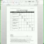 Exklusiv Auditplan Vorlage Excel 931x1028