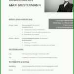 Angepasst Download Lebenslauf Vorlage 800x1132