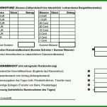 Phänomenal Kassenbuch Handschriftlich Vorlage 744x559