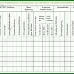 Erschwinglich Prozessaudit Vorlage 1343x724