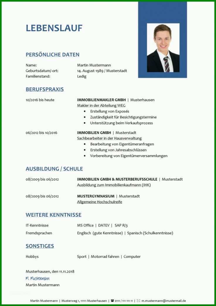 Perfekt Tabellarischer Lebenslauf Pdf Vorlage 800x1132