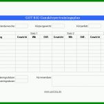 Limitierte Auflage Trainingsplan Vorlage 786x543