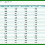 Erstaunlich Vorlage Tagebuch 1205x525