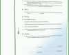 Ausnahmsweise Auftrag Vorlage Pdf 1600x2100