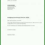 Atemberaubend Mietbürgschaft Vorlage Doc 706x999