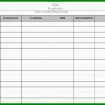 Ideal Projektliste Vorlage 800x503