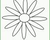 Beeindruckend Window Color Vorlagen Blumen 1654x1654