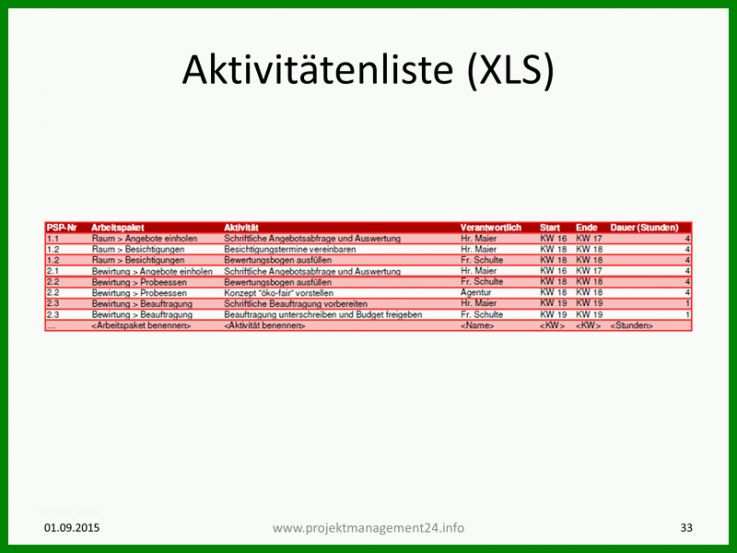 Schockierend Aktivitätenliste Projektmanagement Vorlage 800x600