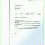 Limitierte Auflage Kündigung Mietvertrag Mieter Vorlage 1600x2100