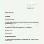 Limitierte Auflage Sportverein Homepage Vorlage 1200x1697