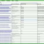 Atemberaubend Auditplan Vorlage Excel 1151x632