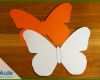 Ideal Einladung Schmetterling Vorlage 1000x667