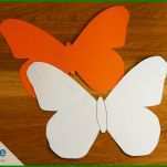 Ideal Einladung Schmetterling Vorlage 1000x667