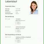 Wunderschönen Lebenslauf Vorlage Kopieren 950x1345