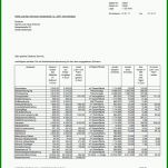 Schockieren Nebenkostenabrechnung Erstellen Vorlage Kostenlos 749x1060