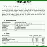 Singular Pflichtenheft Crm Vorlage 709x603