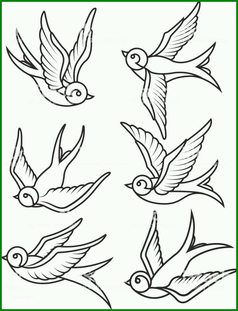 schwalben tattoo vorlage