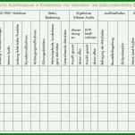 Ideal Haccp Entscheidungsbaum Vorlage 1343x724