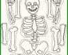Halloween Ausmalbilder Skelett 04 Teil Der Skelett Vorlage Basteln
