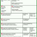 Kreativ 8d Report Vorlage Pdf 976x1662