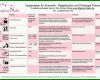 Faszinierend Hygieneplan Vorlage Word 1024x724