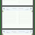 Schockieren Kalender Vorlage Indesign 2019 806x1659