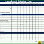 Einzigartig Auditplan Vorlage Excel 890x629
