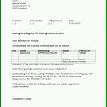 Exklusiv sorgerechtsverfügung Vorlage Pdf 701x996