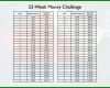 Erstaunlich 52 Wochen Challenge Vorlage Excel 1024x768