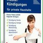 Limitierte Auflage Kündigung Energieversorger Vorlage 1125x1500