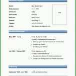 Fantastisch Excel Lebenslauf Vorlage 992x1402
