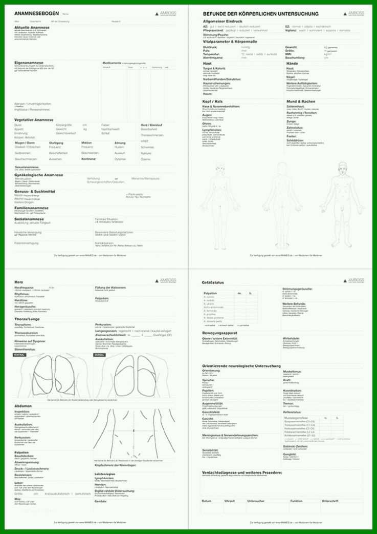 Selten Anamnesebogen Vorlage Word 744x1052